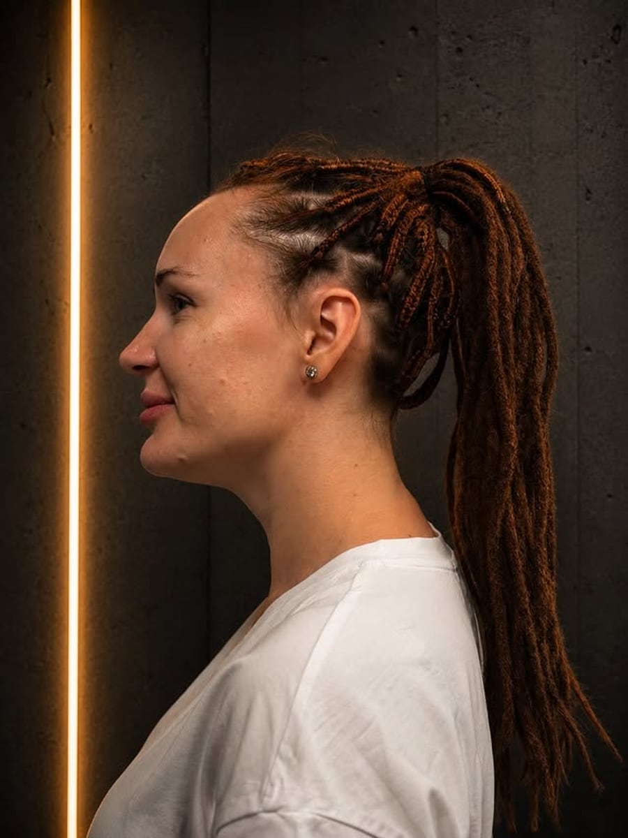 Braids and a high ponytail